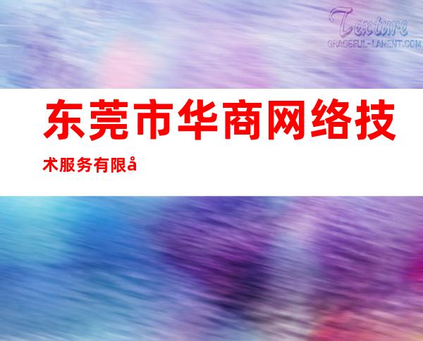 东莞市华商网络技术服务有限公司